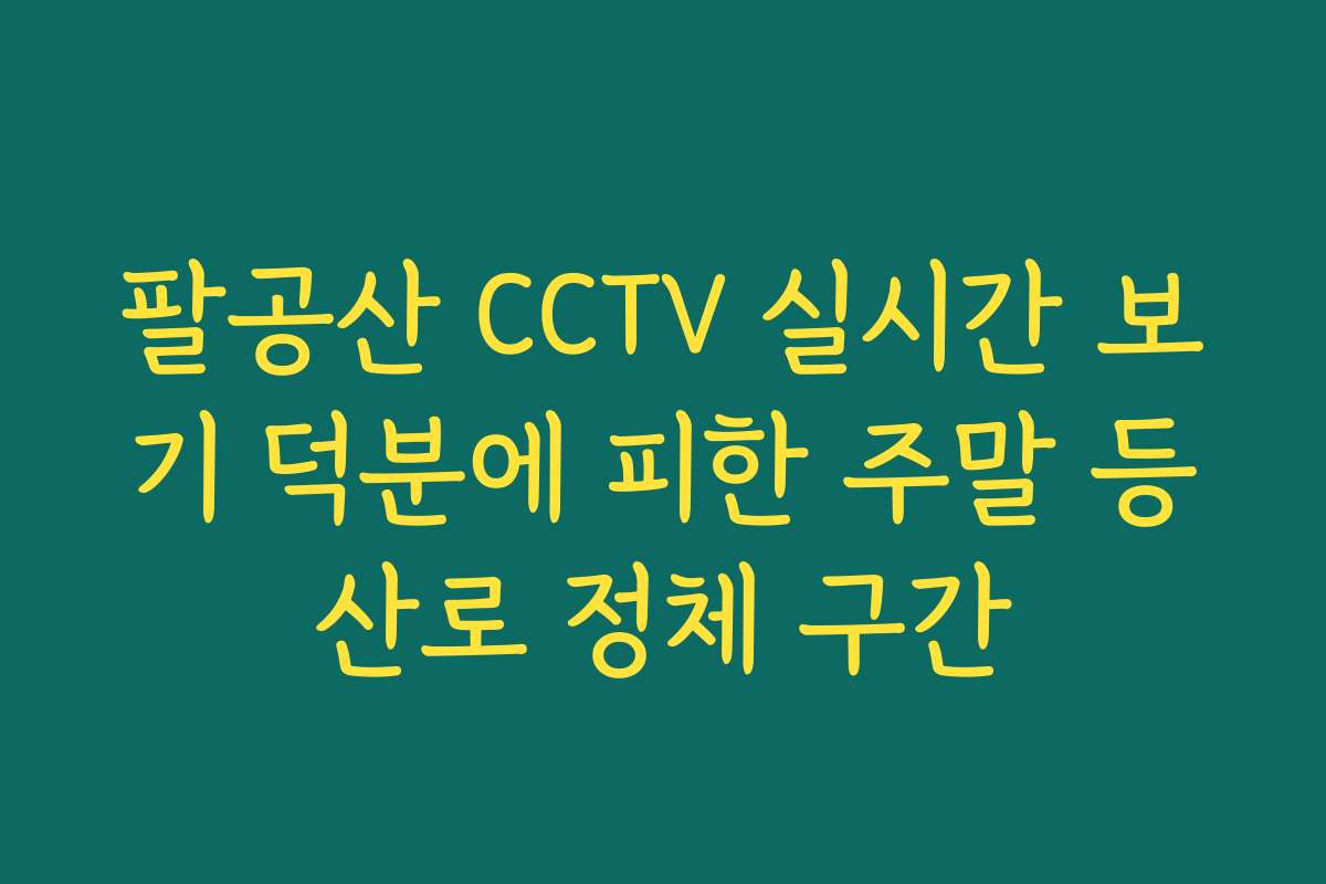 팔공산 CCTV 실시간 보기 덕분에 피한 주말 등산로 정체 구간