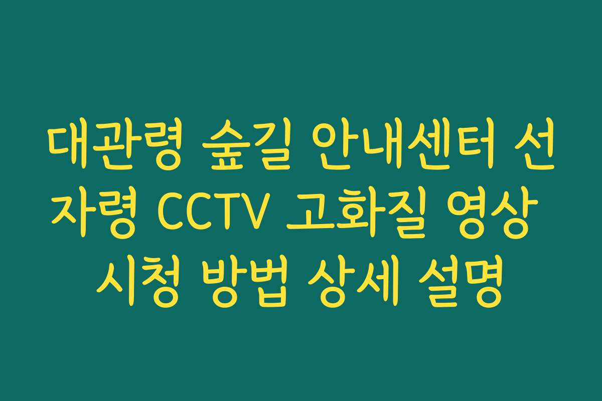대관령 숲길 안내센터 선자령 CCTV 고화질 영상 시청 방법 상세 설명