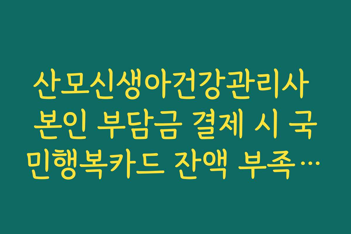 산모신생아건강관리사 본인 부담금 결제 시 국민행복카드 잔액 부족 오류 해결 가이드