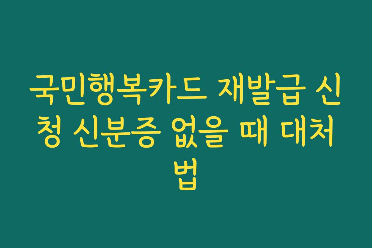 국민행복카드 재발급 신청 신분증 없을 때 대처법