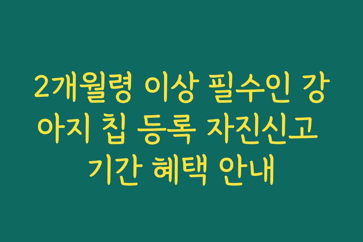 2개월령 이상 필수인 강아지 칩 등록 자진신고 기간 혜택 안내