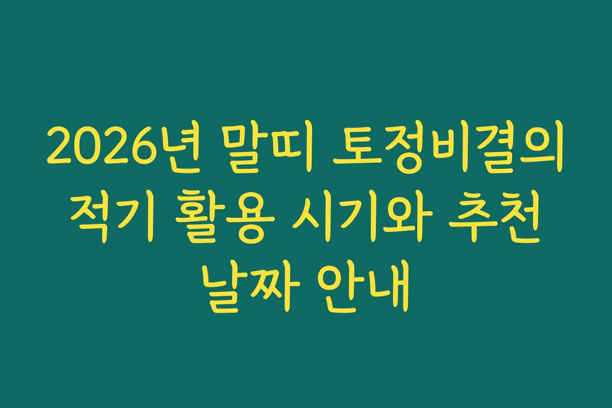 2026년 말띠 토정비결의 적기 활용 시기와 추천 날짜 안내