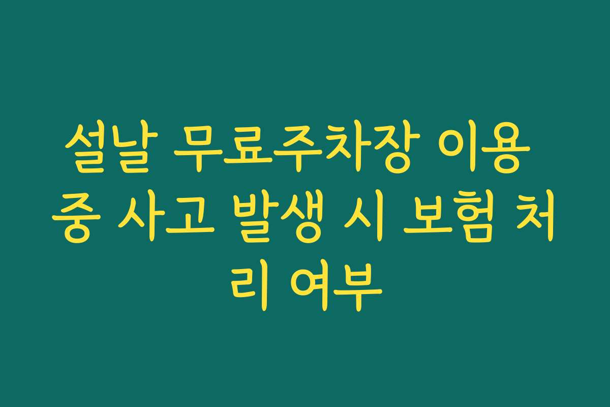 설날 무료주차장 이용 중 사고 발생 시 보험 처리 여부