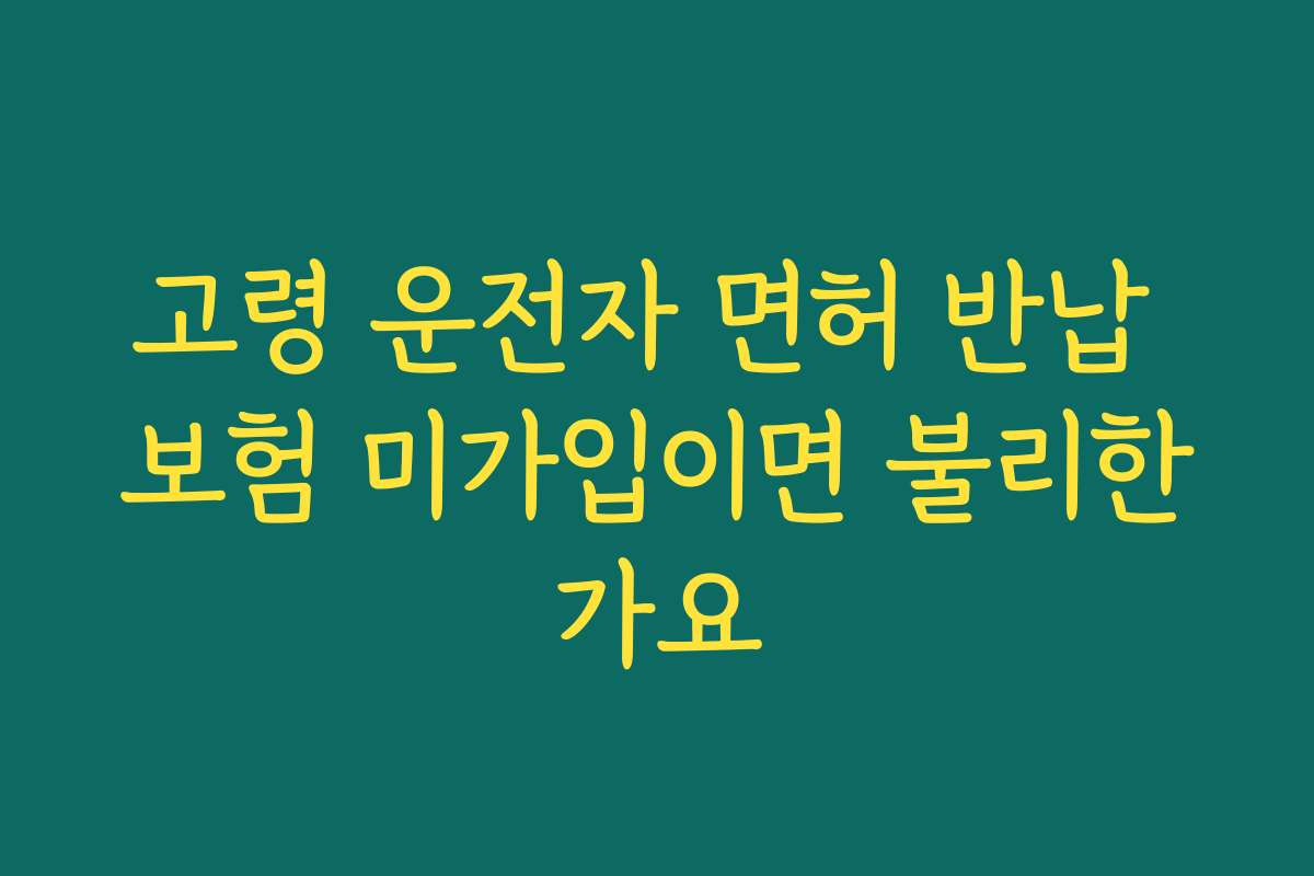 고령 운전자 면허 반납 보험 미가입이면 불리한가요