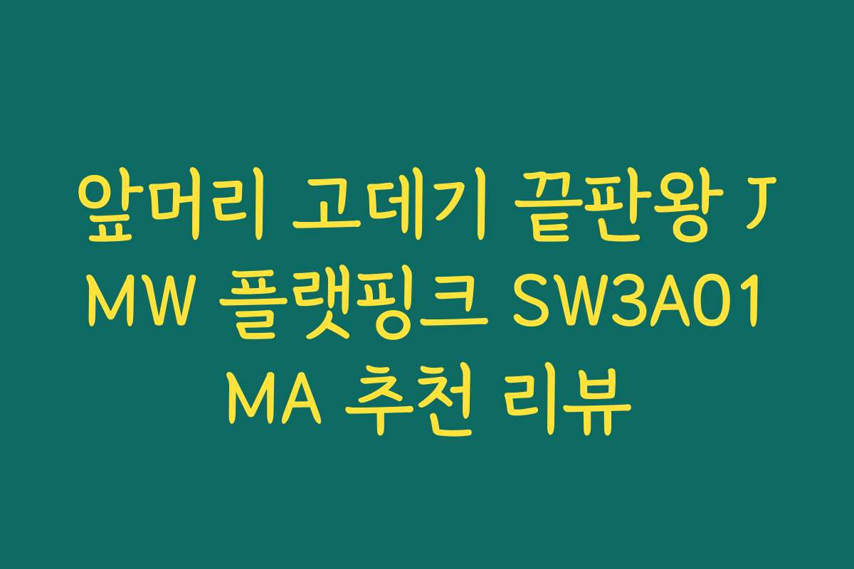 앞머리 고데기 끝판왕 JMW 플랫핑크 SW3A01MA 추천 리뷰