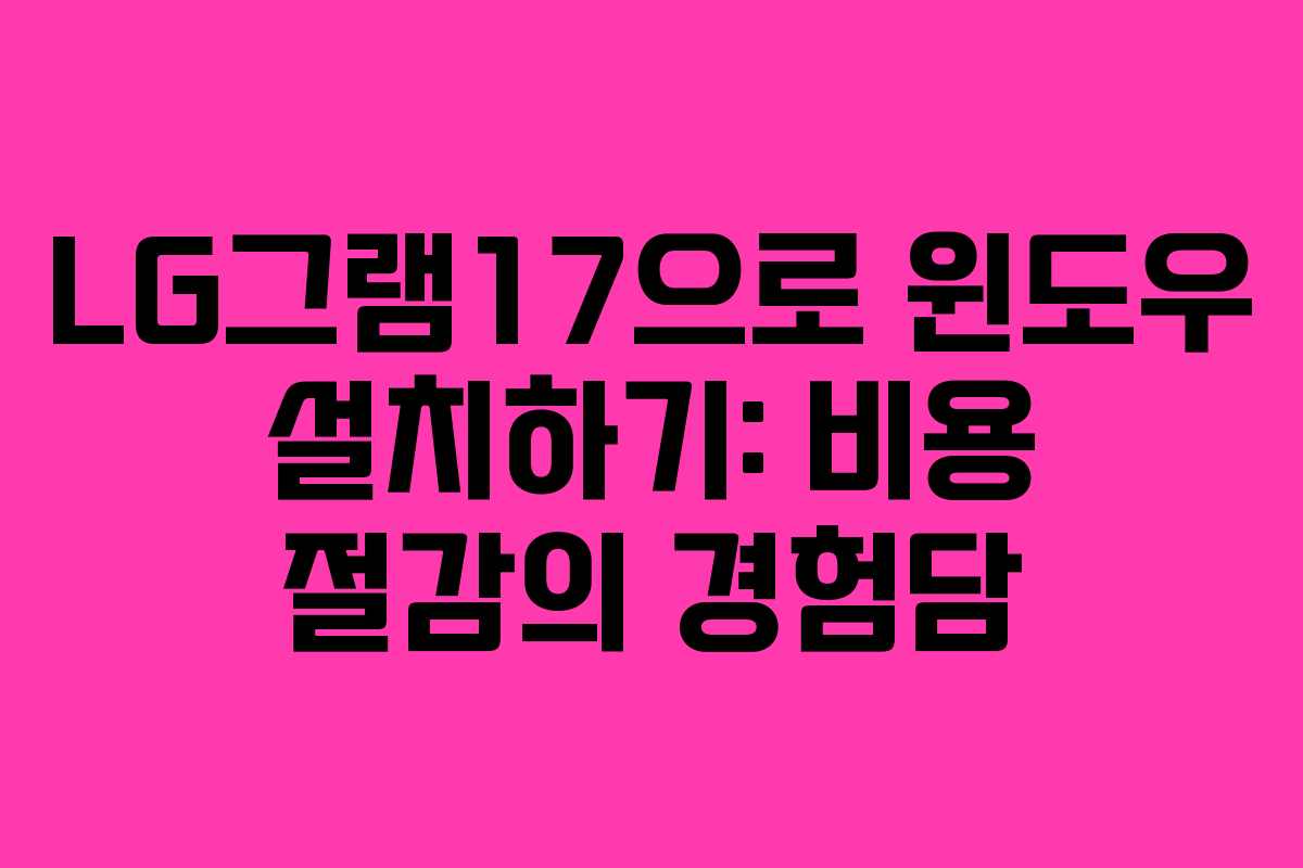 LG그램17으로 윈도우 설치하기: 비용 절감의 경험담
