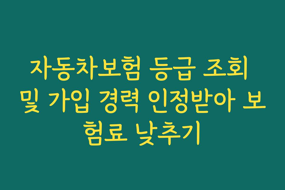자동차보험 등급 조회 및 가입 경력 인정받아 보험료 낮추기