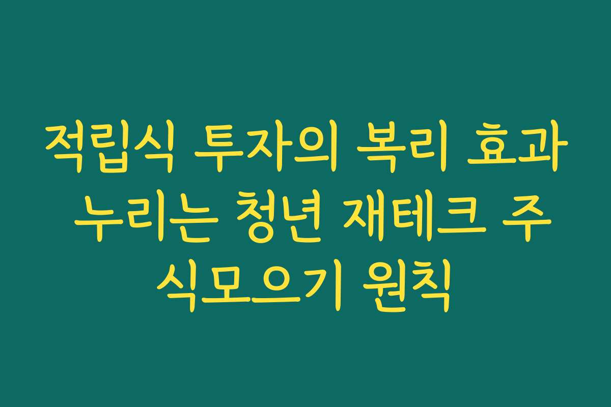 적립식 투자의 복리 효과 누리는 청년 재테크 주식모으기 원칙