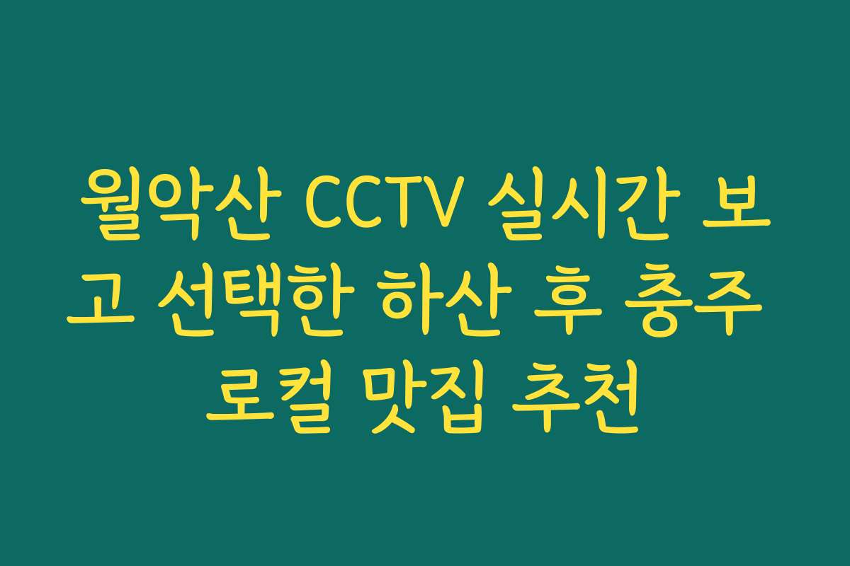 월악산 CCTV 실시간 보고 선택한 하산 후 충주 로컬 맛집 추천