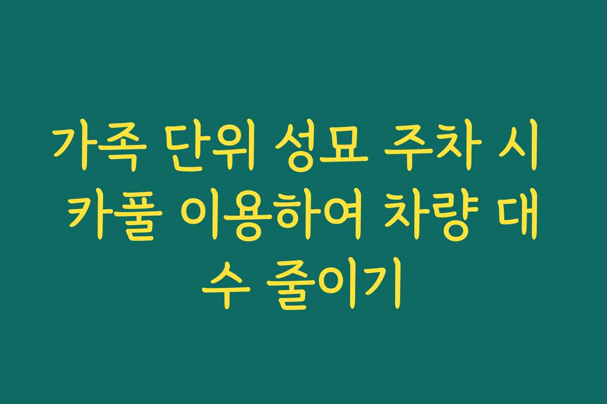 가족 단위 성묘 주차 시 카풀 이용하여 차량 대수 줄이기