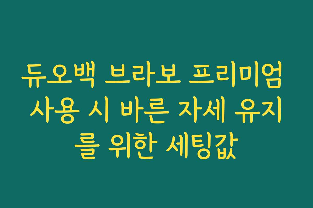 듀오백 브라보 프리미엄 사용 시 바른 자세 유지를 위한 세팅값