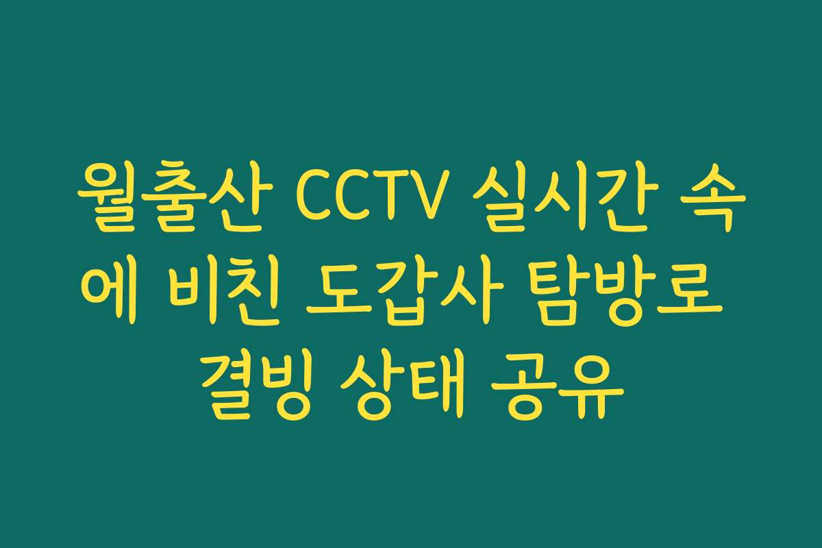 월출산 CCTV 실시간 속에 비친 도갑사 탐방로 결빙 상태 공유