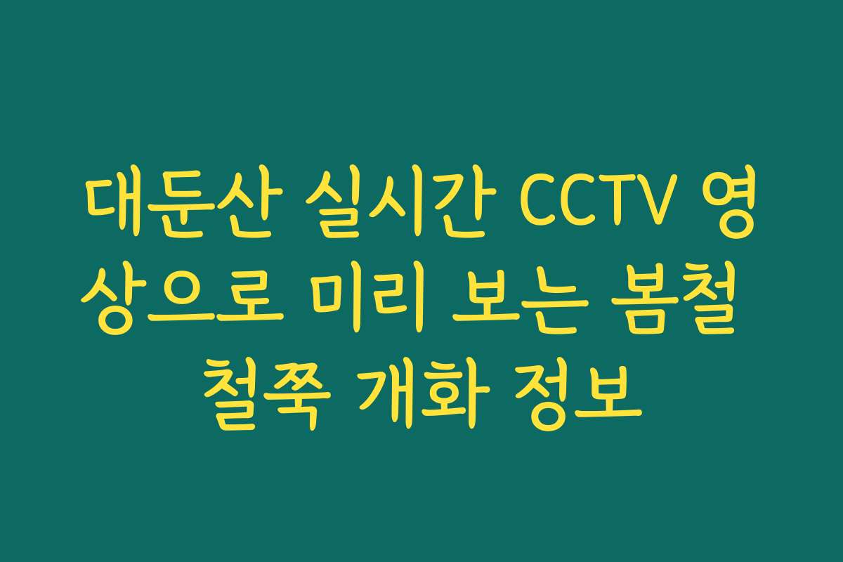 대둔산 실시간 CCTV 영상으로 미리 보는 봄철 철쭉 개화 정보