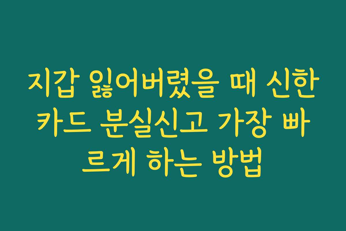 지갑 잃어버렸을 때 신한카드 분실신고 가장 빠르게 하는 방법