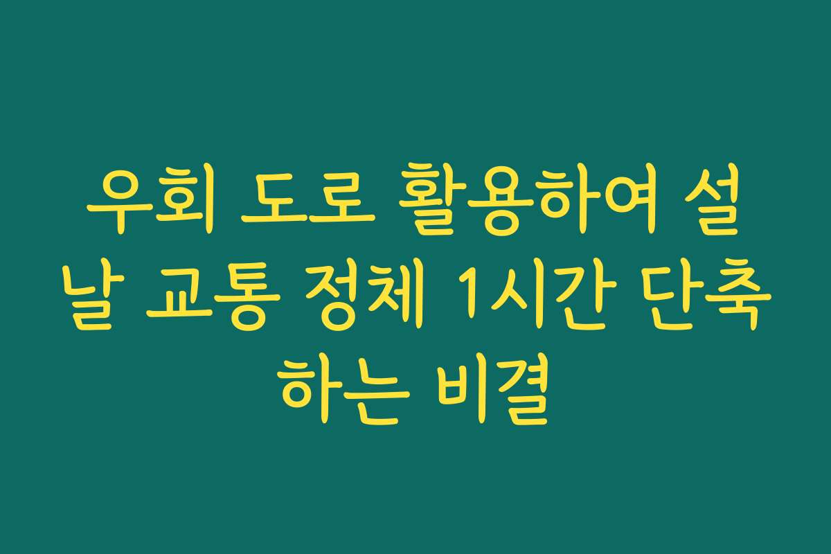 우회 도로 활용하여 설날 교통 정체 1시간 단축하는 비결