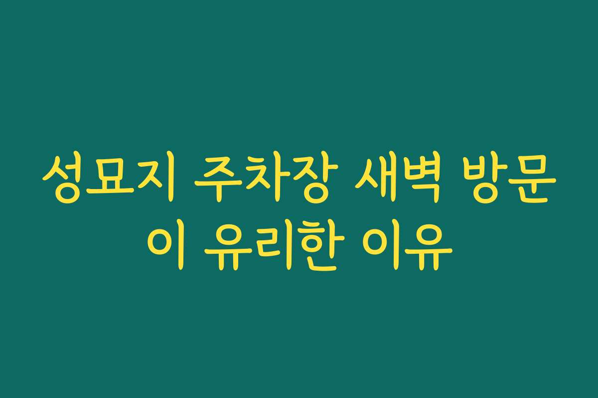 성묘지 주차장 새벽 방문이 유리한 이유