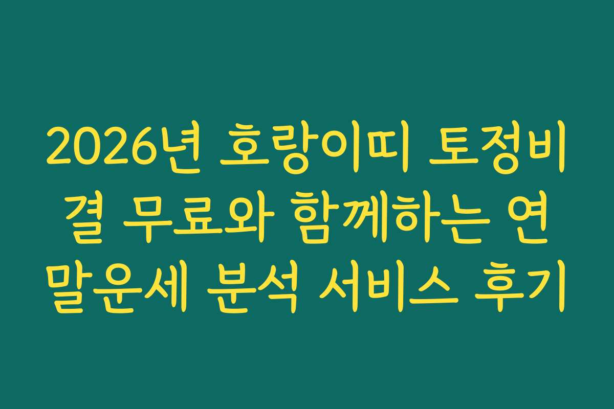 2026년 호랑이띠 토정비결 무료와 함께하는 연말운세 분석 서비스 후기