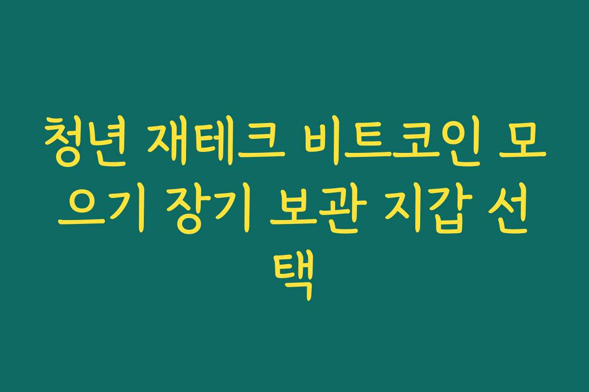 청년 재테크 비트코인 모으기 장기 보관 지갑 선택