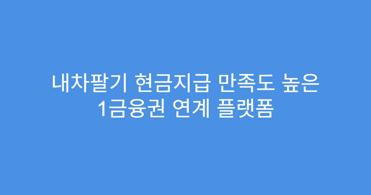 내차팔기 현금지급 만족도 높은 1금융권 연계 플랫폼