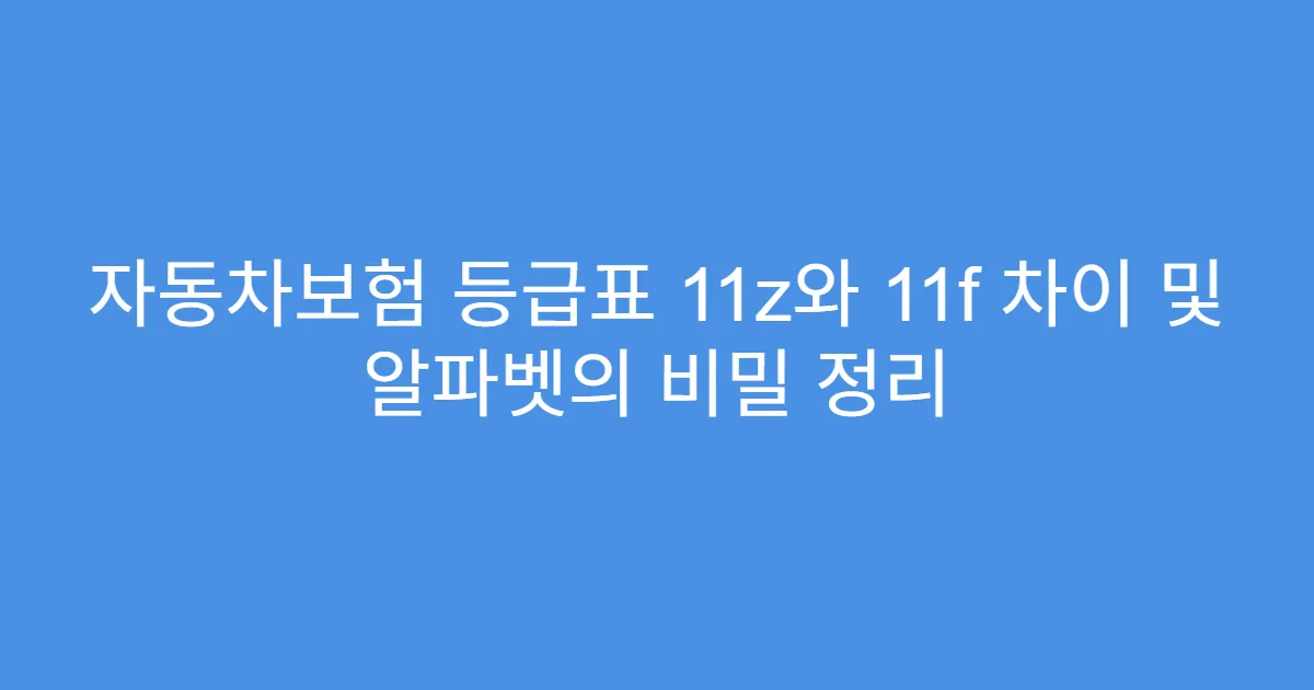 자동차보험 등급표 11z와 11f 차이 및 알파벳의 비밀 정리