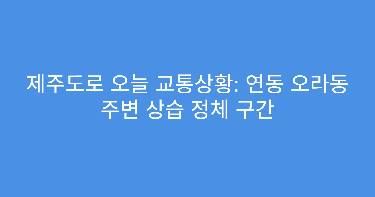 제주도로 오늘 교통상황: 연동 오라동 주변 상습 정체 구간