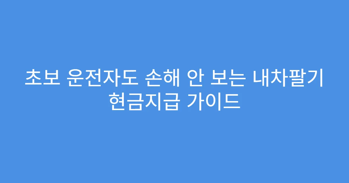 초보 운전자도 손해 안 보는 내차팔기 현금지급 가이드