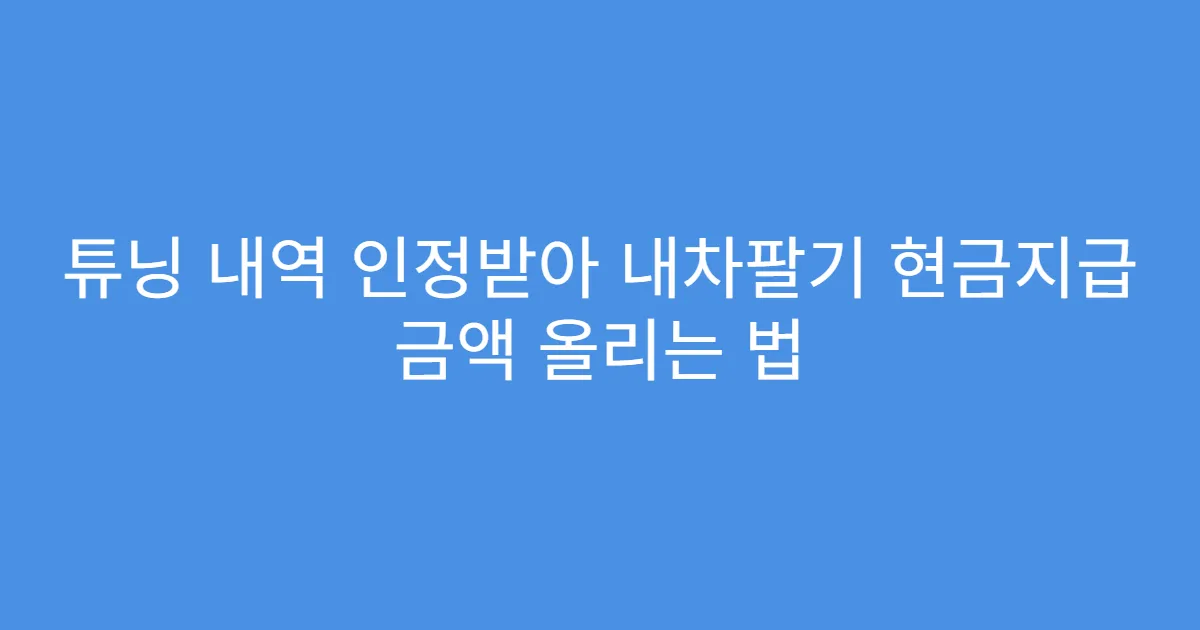 튜닝 내역 인정받아 내차팔기 현금지급 금액 올리는 법