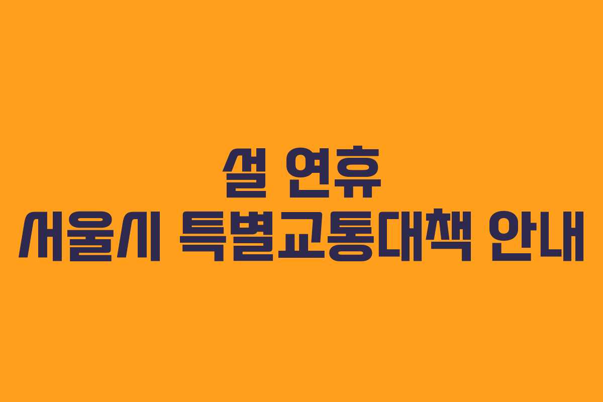 설 연휴 서울시 특별교통대책 안내