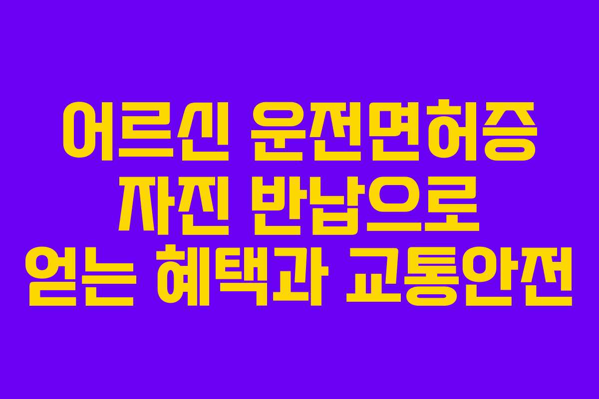 어르신 운전면허증 자진 반납으로 얻는 혜택과 교통안전