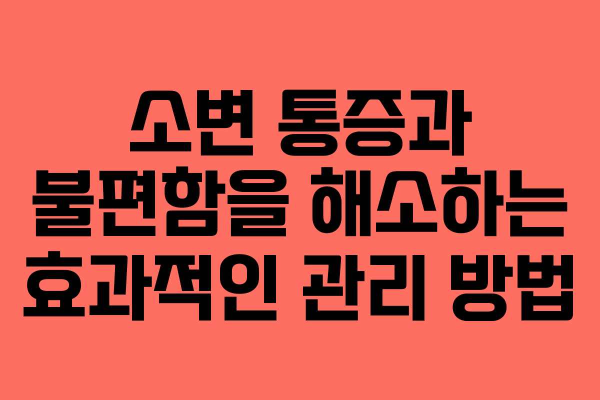 소변 통증과 불편함을 해소하는 효과적인 관리 방법
