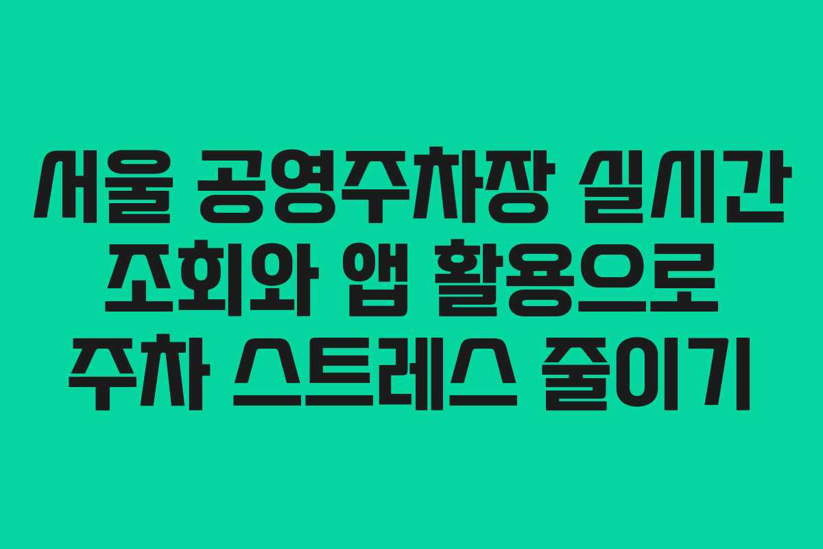 서울 공영주차장 실시간 조회와 앱 활용으로 주차 스트레스 줄이기