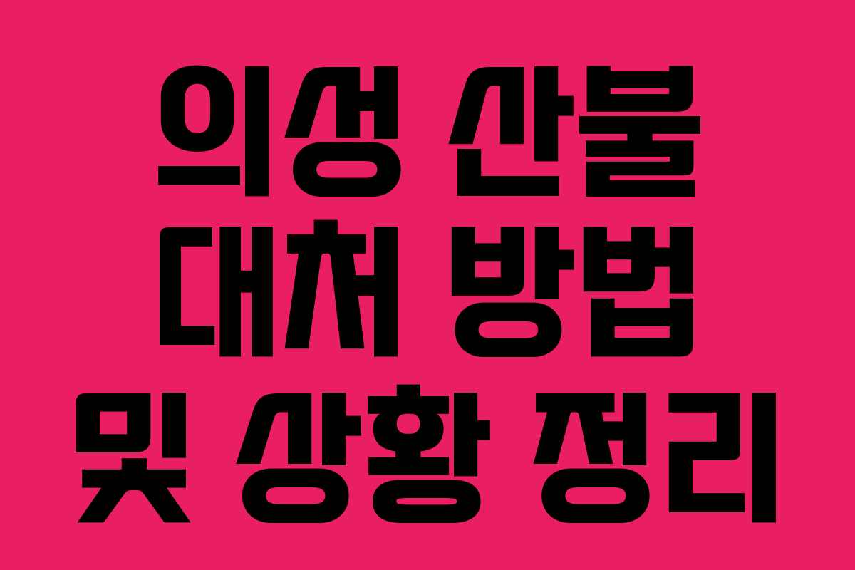 의성 산불 대처 방법 및 상황 정리