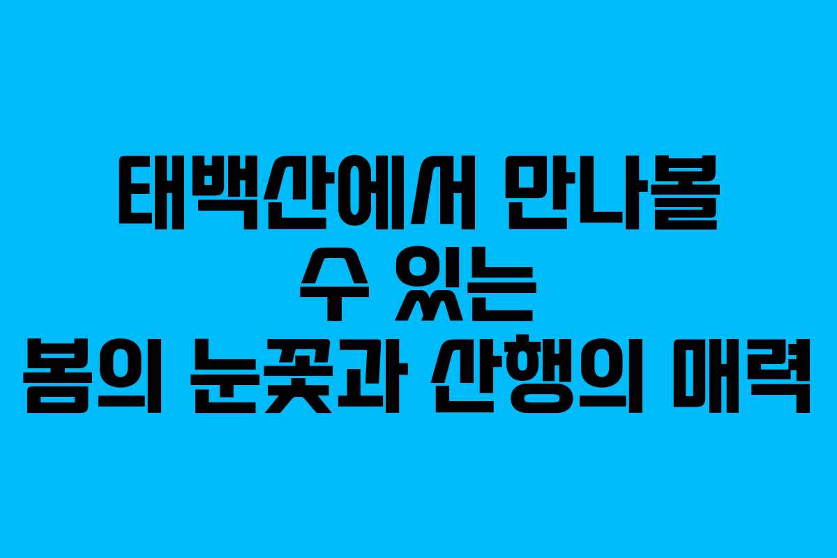 태백산에서 만나볼 수 있는 봄의 눈꽃과 산행의 매력