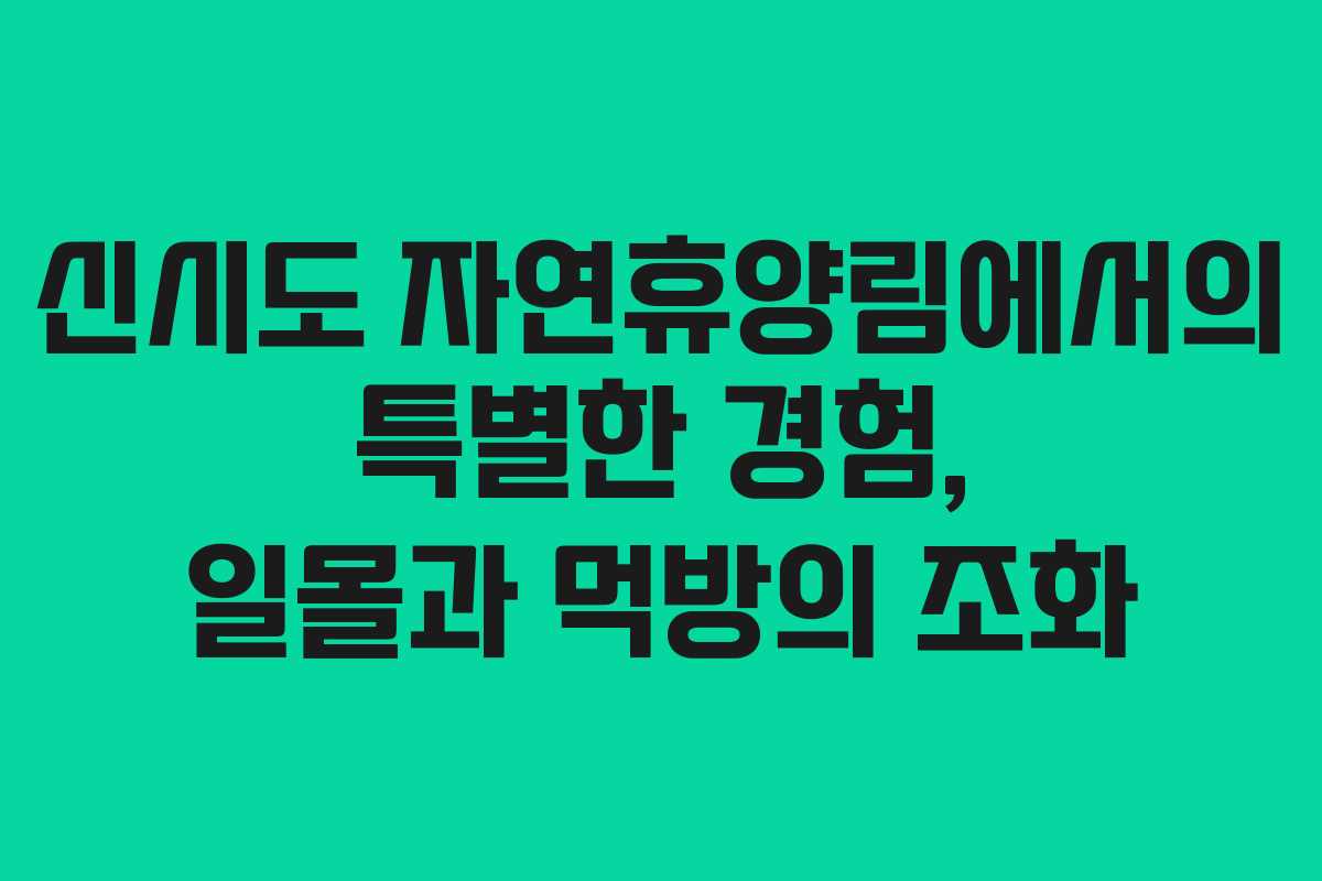 신시도 자연휴양림에서의 특별한 경험, 일몰과 먹방의 조화