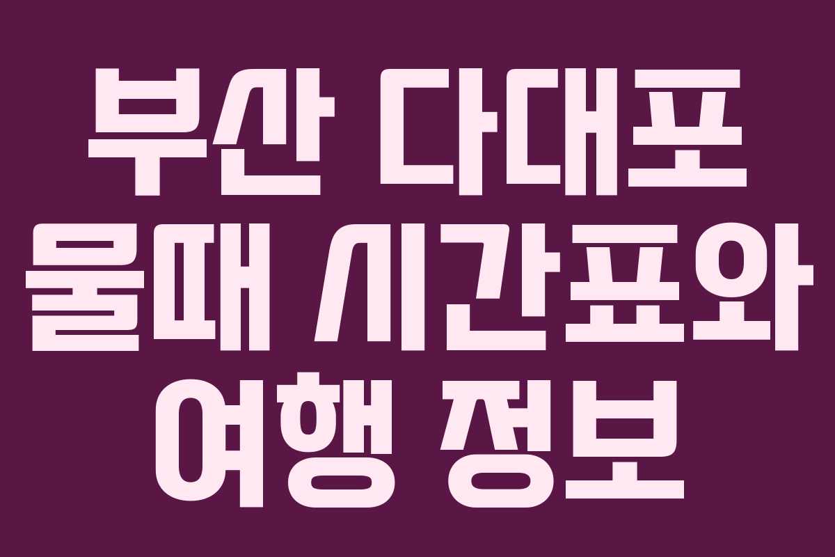 부산 다대포 물때 시간표와 여행 정보