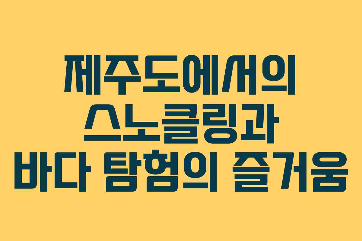 제주도에서의 스노클링과 바다 탐험의 즐거움