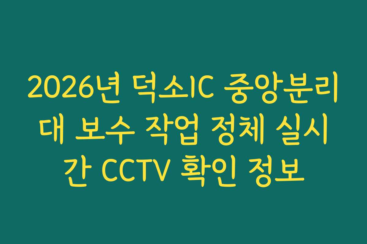 2026년 덕소IC 중앙분리대 보수 작업 정체 실시간 CCTV 확인 정보
