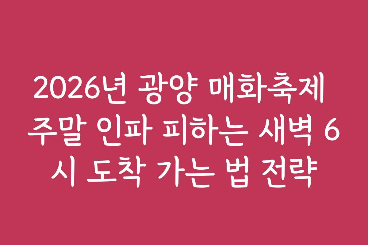 2026년 광양 매화축제 주말 인파 피하는 새벽 6시 도착 가는 법 전략