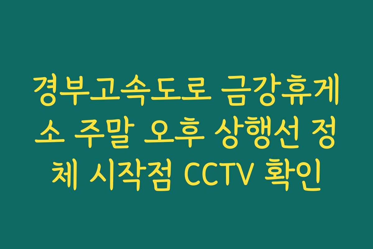 경부고속도로 금강휴게소 주말 오후 상행선 정체 시작점 CCTV 확인