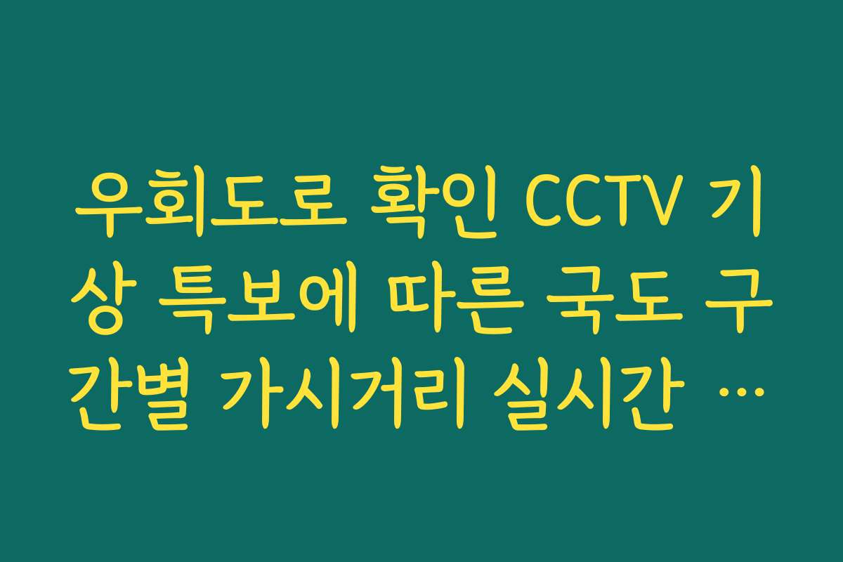 우회도로 확인 CCTV 기상 특보에 따른 국도 구간별 가시거리 실시간 체크