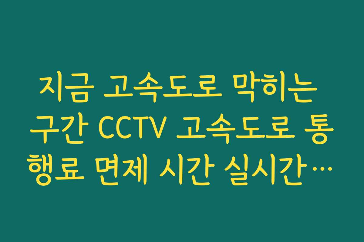 지금 고속도로 막히는 구간 CCTV 고속도로 통행료 면제 시간 실시간 적용 확인