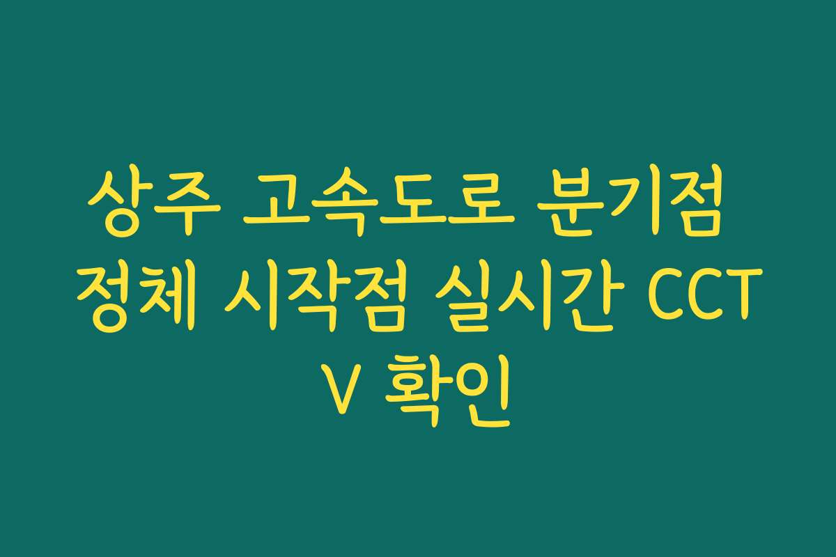 상주 고속도로 분기점 정체 시작점 실시간 CCTV 확인