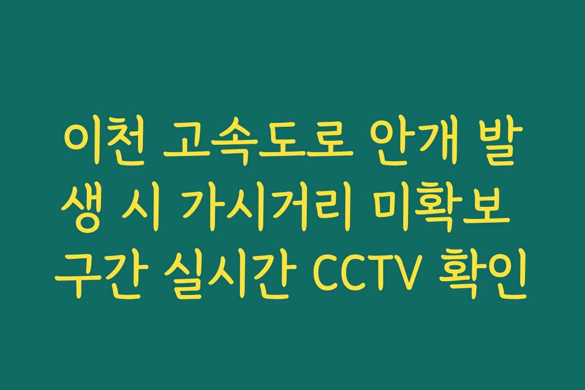 이천 고속도로 안개 발생 시 가시거리 미확보 구간 실시간 CCTV 확인
