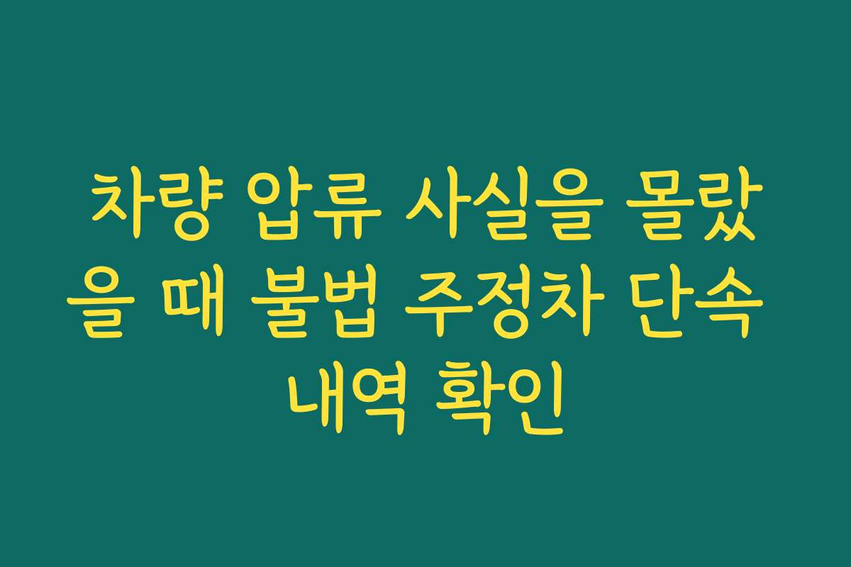 차량 압류 사실을 몰랐을 때 불법 주정차 단속 내역 확인