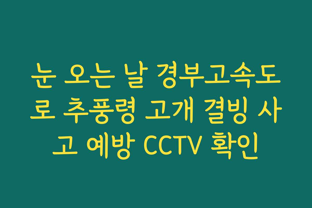 눈 오는 날 경부고속도로 추풍령 고개 결빙 사고 예방 CCTV 확인