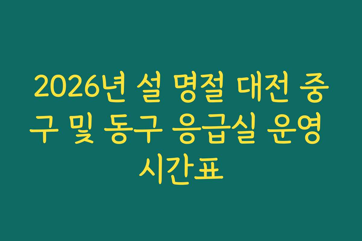 2026년 설 명절 대전 중구 및 동구 응급실 운영 시간표