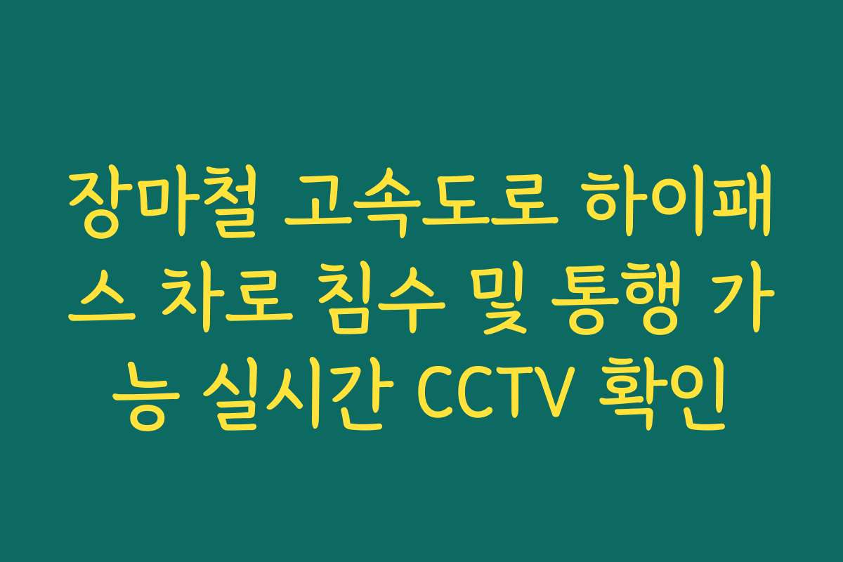 장마철 고속도로 하이패스 차로 침수 및 통행 가능 실시간 CCTV 확인