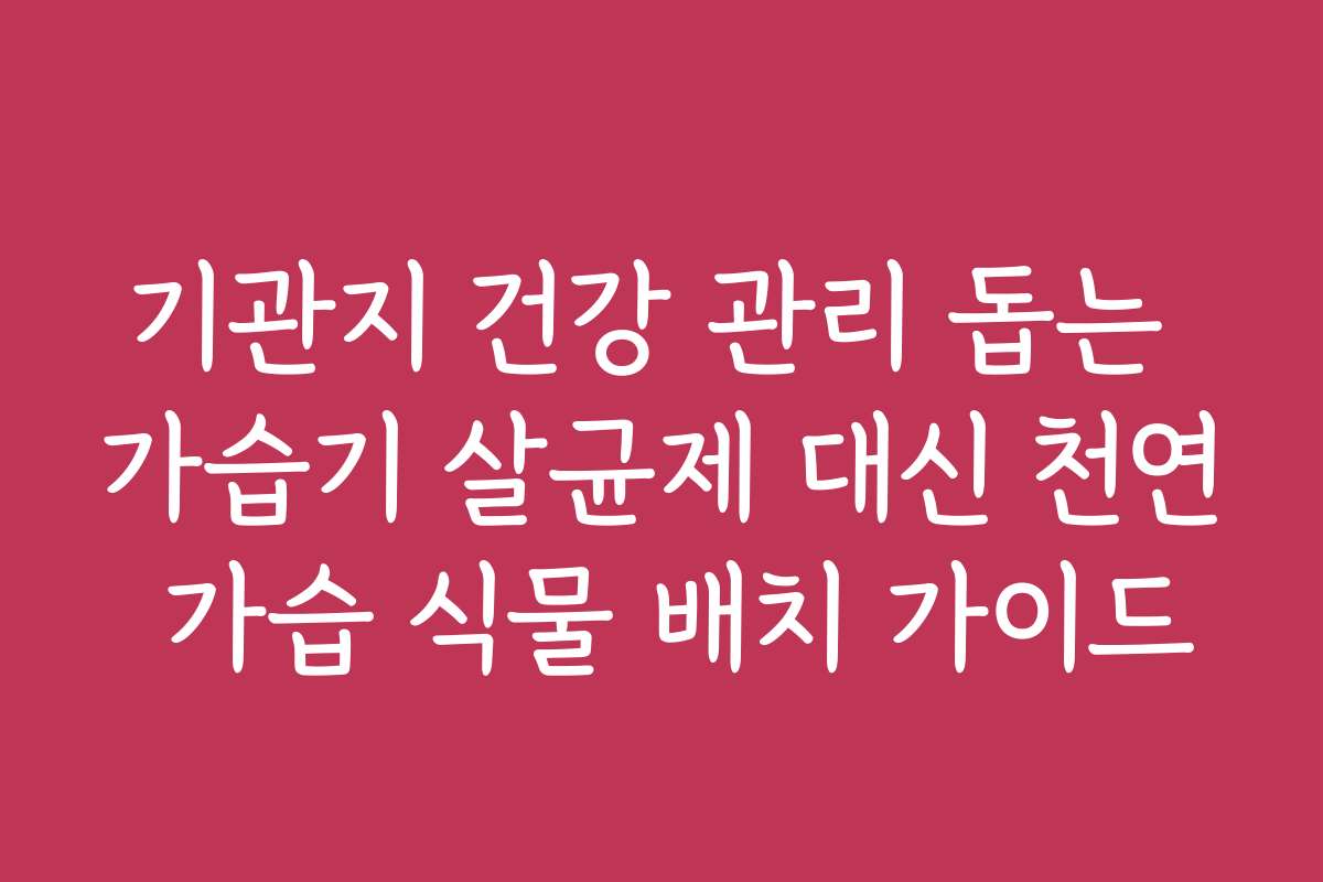 기관지 건강 관리 돕는 가습기 살균제 대신 천연 가습 식물 배치 가이드