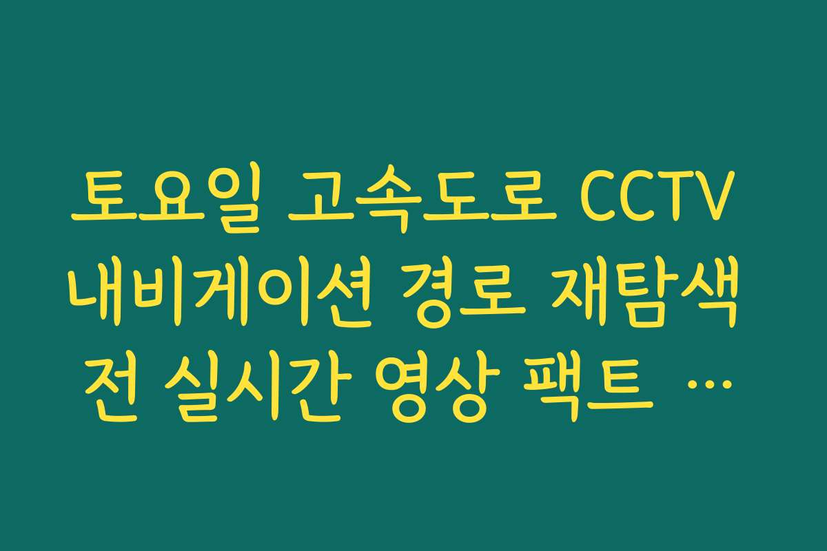 토요일 고속도로 CCTV 내비게이션 경로 재탐색 전 실시간 영상 팩트 체크 방법