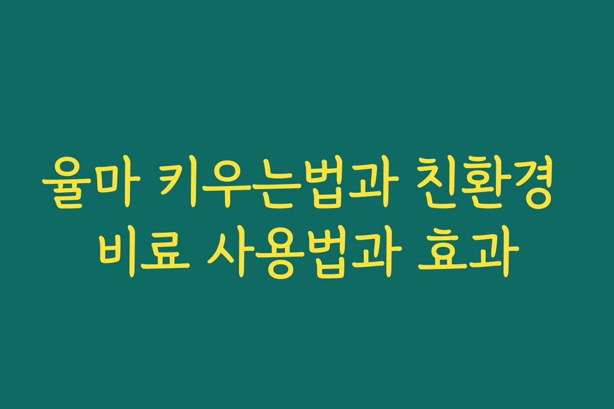 율마 키우는법과 친환경 비료 사용법과 효과